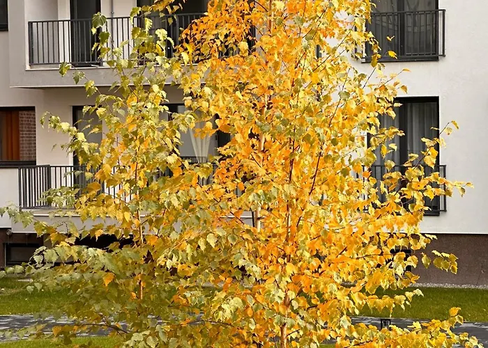 Violette Atol Apartments